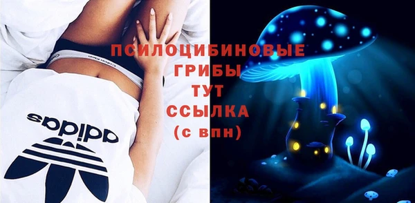 экстази Ладушкин
