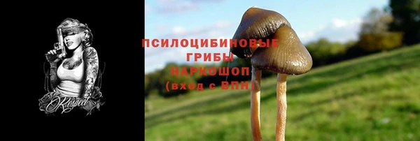 экстази Ладушкин