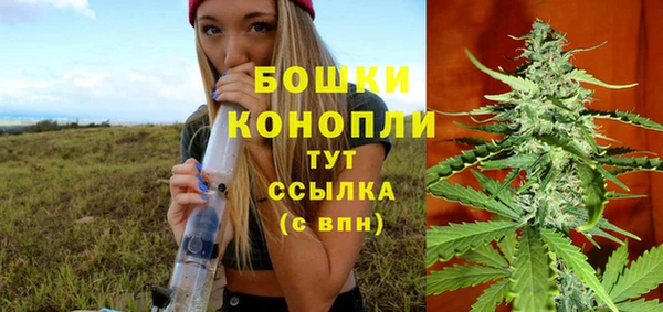 spice Кулебаки