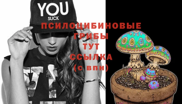 гидра Лабытнанги