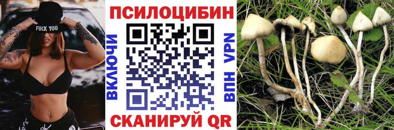 Галлюциногенные грибы прущие грибы  shop наркотические препараты  Киров 